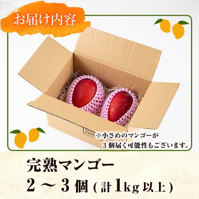 【0145910a】＜先行予約・数量限定＞南国鹿児島県産の太陽の恵み！完熟マンゴー(計1kg以上・2-3個入り) 果物 フルーツ 果実 デザート 国産 冷蔵 【東串良物産館ルピノンの里】