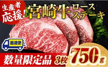 《数量限定》※最速便(2週間以内に発送)※ 宮崎牛ロースステーキ3枚 (750g) 肉 牛肉 宮崎県産 黒毛和牛 [D0603]