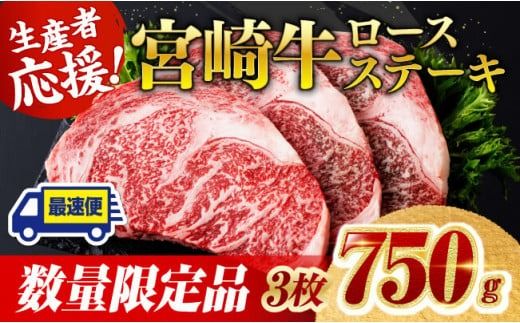 《数量限定》※最速便(2週間以内に発送)※ 宮崎牛ロースステーキ3枚 (750g) 肉 牛肉 宮崎県産 黒毛和牛 [D0603]