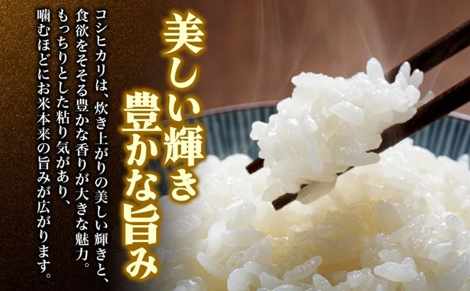 天水の恵米 コシヒカリ 彩のきずな 白米 各5kg お米 粘り もっちり 国産 白米 ご飯 もちもち 柔らかい お弁当 おにぎり らんざん営農 ギフト 贈り物 嵐山町 埼玉県