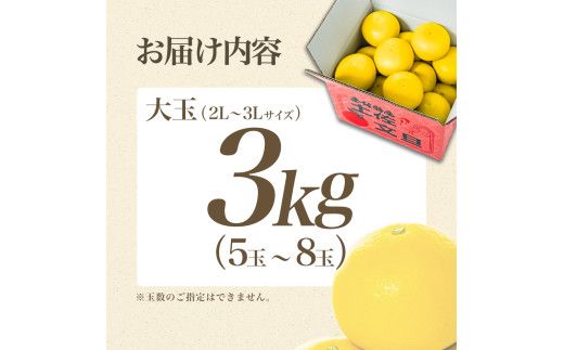 【日本ギフト大賞2024受賞】【先行予約】 文旦3kg 大玉（3L～2L）家庭用 高知県 土佐文旦  旬 ぶんたん ブンタン 柑橘 フルーツ 果物 【やの一果彩】 [BQAC001]
