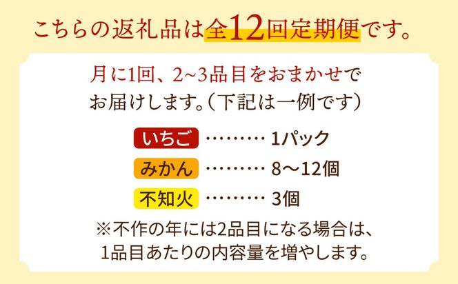 【12回定期便】季節の果物 詰め合わせ フルーツセット 旬の果物をお任せで2〜3品目お届け (2〜3品目×12回) / 果物 セット 南島原市 / 吉岡青果 [SCZ014]