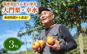 梨 射水の鳥越梨園から直送！【大門梨（幸水）】3kg 果物 フルーツ なし 北陸 富山 ※2026年8月～発送