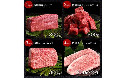 【CF-R7hbk】＜8ヶ月定期便＞ 土佐和牛詰め合わせ8種Aセット（合計3.3kg）3.3キロ 赤身ブロック サイコロステーキ ロース サーロイン カルビ スネ ヒレ ブロック肉 特選 赤身 牛肉 和牛 国産 熟成肉