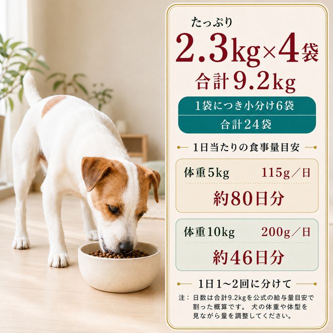 ビューティープロ ドッグ ダイエット 1歳から 2.3kg ｘ4(ケース単位) ドッグフード