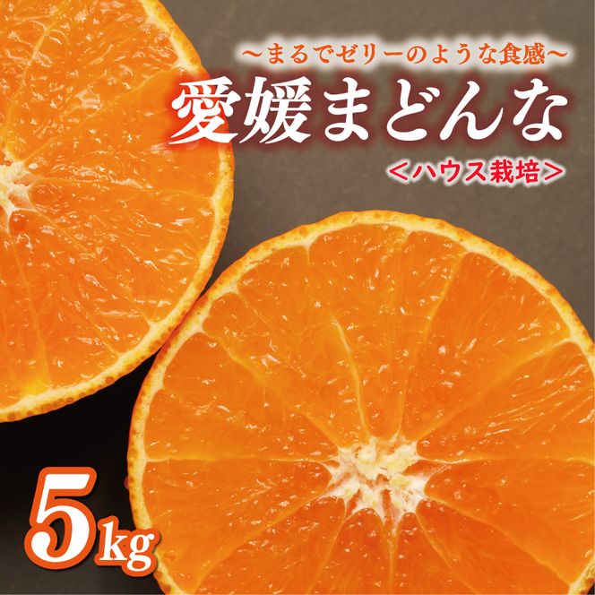 ハウス栽培 正品 まどんな 5kg 20000円 愛果28号 紅まどんな と 同品種 あいか アイカ 高級 人気 ブランド 柑橘 果物 フルーツ ハウス栽培 施設栽培 ギフト プレゼント 数量限定 期間限定 産地直送 国産 農家直送 特産品 お取り寄せ みかん mikan 蜜柑 みかん ミカン マドンナ スマイルカット 甘い おいしい ゼリー ぷるぷる 前田ファーム 愛南町 愛媛県