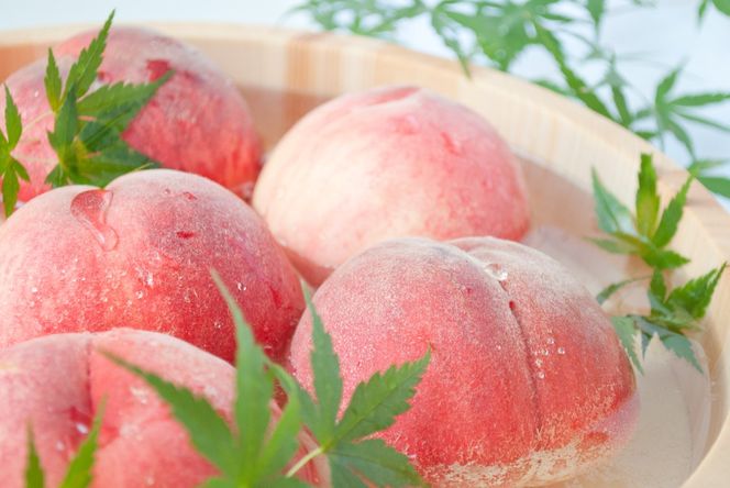 糖度13度以上　【最高品質】限定品　一宮のプレミアム桃　1.6ｋｇ以上（5玉） 168-004