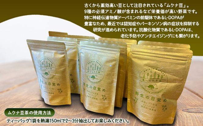 野生の目覚め～焙煎ムクナ豆茶ティーバッグ～　ムクナ お茶 健康茶