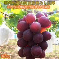 紀州有田産の種なし巨峰ぶどう約２kg【先行予約】【2026年8月中旬以降発送予定】AN026