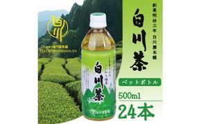 ※※白川茶ペットボトル500ｍl 24本入り