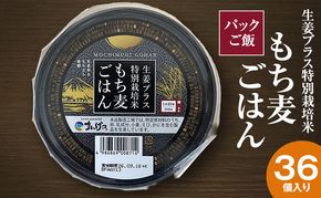 パックご飯 生姜プラス特別栽培米 もち麦ごはん 36個入り 静岡県 袋井市【離島配送不可】