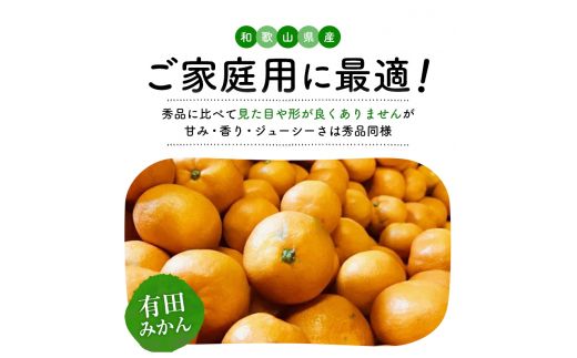 【9月発送】 ＼先行予約／ 有田 育ちの完熟 有田 みかん 家庭用 2.2kg(2kg+200g) / 有田みかん 柑橘 甘い フルーツ 果物 産地直送 和歌山 ※北海道・沖縄・その他離島地域は発送不可 【ard004-c-2d2-9A】