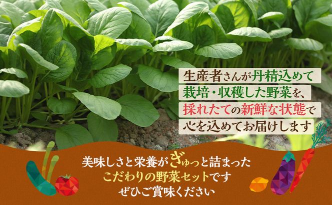 定期便 12回 季節の野菜 詰め合わせ セット 冷蔵 旬