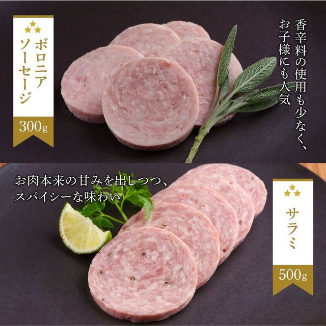 もちぶた6種 詰め合わせ セット ハム ソーセージ 角煮 ベーコン 煮豚 豚肉