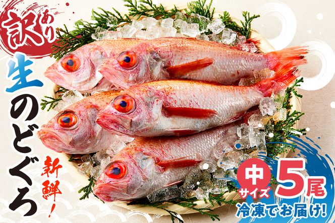 yɌzyɌZY  ̂ǂ뒆5C 1C150gO v700`800g Ⓚzߘa8N3{ȍ~A\ {C NxQ Ⓚ }Ⓚ g̃g mhO Y Yn Ɍ  Z ĎR RA lC  h@X 33-30