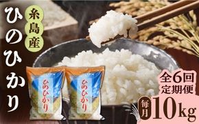 【全6回定期便】ひのひかり 10kg × 6回 糸島市 / 三島商店 [AIM015] 米 白米