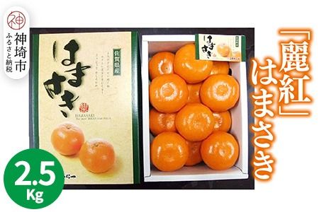 yꌧ_szy2026N2{蔭Jnzygz͂܂ 2.5kgy݂ ꋉi k t[c fU[gz(H116144)