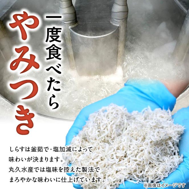 訳あり 3kg！バラエティ豊富な三河しらす H018-070