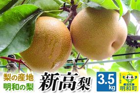 梨（新高 にいたか）3.5kg【9月中旬～10月上旬にお届け】 果物 フルーツ [梨 なし ナシ 和梨 ジューシー 果汁たっぷり 梨の産地 群馬県明和産 新高 にいたか 大玉 贈答用 ギフト 人気品種]|10_mns-030301
