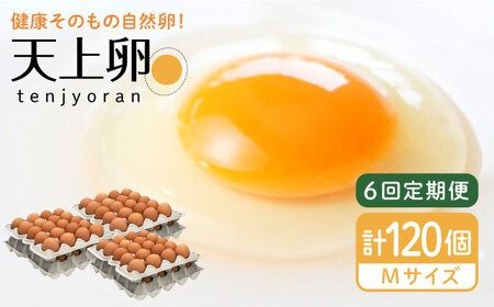 【 全6回 定期便 】 こだわり の 卵 「 天上卵 」 20個 セット 《糸島》【株式会社おおはまファーム】 [AKH003]