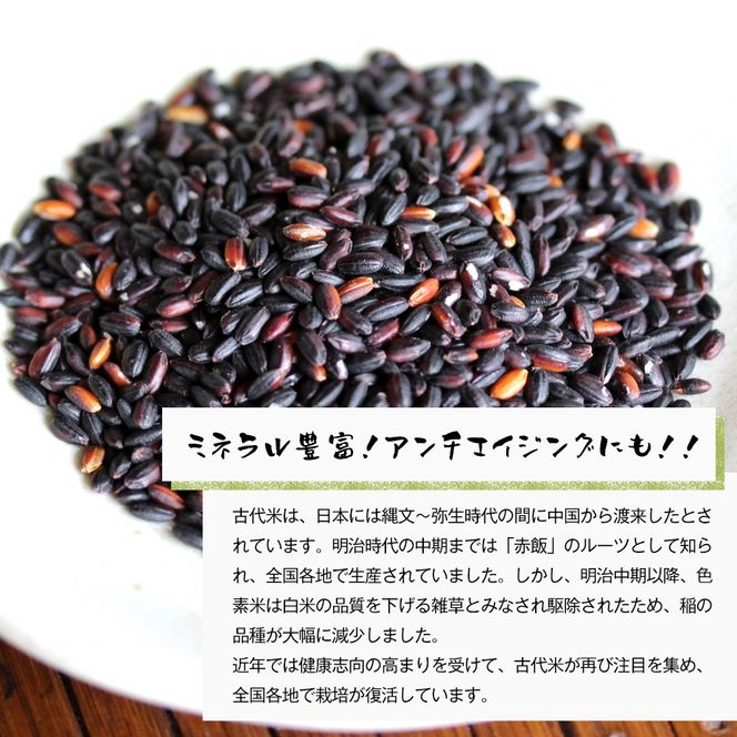 古代米（黒米）　希少！栽培期間中農薬・肥料不使用 1kg（500g×2PC）
