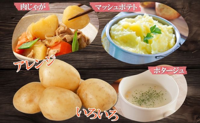 北海道産 じゃがいも きたかむい 約10kg Lサイズ ジャガイモ キタカムイ 馬鈴薯 いも ポテト 常備野菜 根菜 産直 国産 日本産 JAようてい 送料無料 北海道 倶知安町 北海道のジャガイモ 食品 