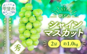 【2026年/令和8年発送分】シャインマスカット　2房　約1.0kg　人気　おすすめ　国産　贈答　ギフト　お取り寄せ　山梨県産　産地直送　フルーツ　果物　くだもの　ぶどう　ブドウ　葡萄　シャイン　シャインマスカット　新鮮　AV-2