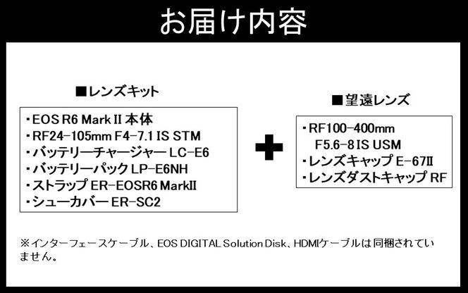 【追加レンズセット】 キヤノン ミラーレス カメラ EOS R6 MarkⅡ レンズキット & 望遠レンズ キャノン 一眼 家電 _0055C