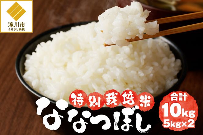 《令和7年産》特別栽培米ななつぼし 10kg | 16年連続特A ブランド米 白米 精米 米 お米 こめ 減農薬 単一原料米 ご飯 贈答 ギフト 北海道米 北海道 滝川市