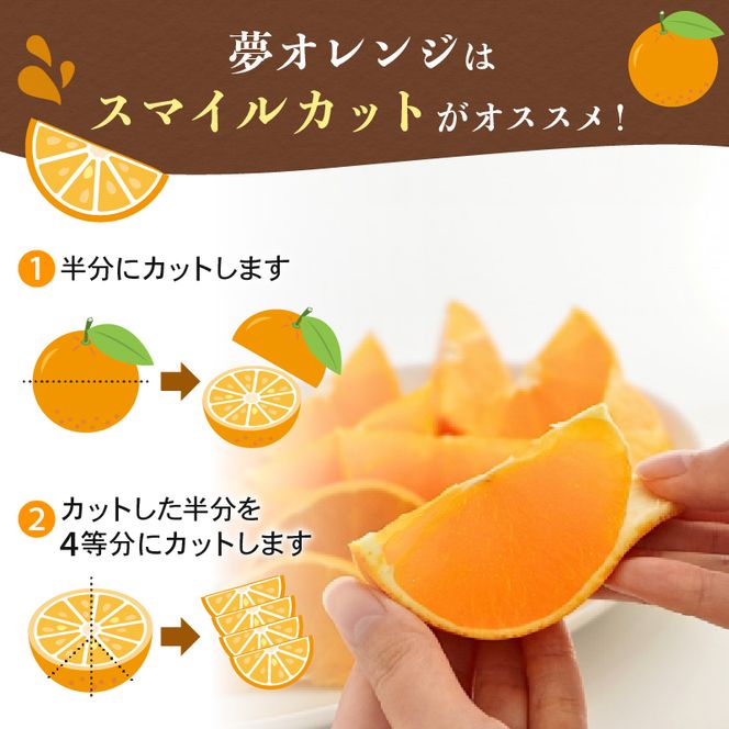 【先行予約】特選品 みかん職人の夢オレンジ 2kg まどんな 愛果28号 柑橘 果物 フルーツ 愛媛 みかん職人 武田屋 蜜柑 大小ミックスサイズ 贈答用 贈り物 プレゼント 甘い 甘さ みかん かんきつ らんきんぐ 柑橘 冬 旬 食べごろ 農家 農家直送 農園 人気 みかん職人 武田屋 産直 みかん職人武田屋 愛媛県 愛南町