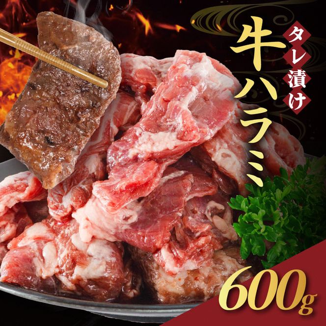 【訳あり】 タレ漬け 牛ハラミ 600g 2P 肉 牛 牛肉 ハラミ 味付け タレ ハラミ肉 BBQ バーベキュー 焼き肉 焼肉 焼肉セット アウトドア キャンプ ギフト 真空 パック 小分け 300g 個包装 簡単 便利 冷凍 人気 京都 南丹市 神戸 ミートフーズ