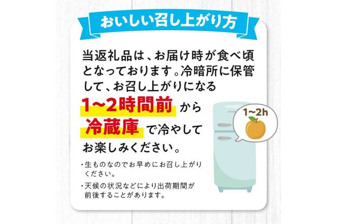 【先行予約／数量限定50】新興梨 秀品 5kg（8～16玉入り）（2025年10月上旬～発送）　SF00022