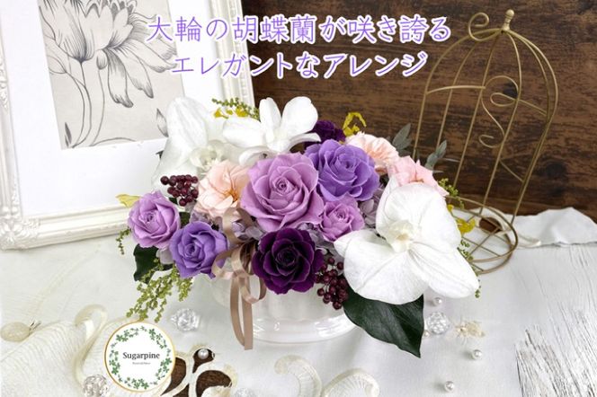 シュガーパイン プリザーブドフラワーアレンジ（ルクール/パープル）【埼玉県 春日部市 洋蘭 贈答用 室内装飾 開店祝い フラワーギフト】(AJ072-1)