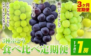 【2025年産先行予約】3ヶ月 定期便 食べ比べセット たたらみねらる シャインマスカット 瀬戸ジャイアンツ ピオーネ 各1房《8月下旬-10月下旬頃出荷》岡山県 笠岡市 マスカット ぶどう ブドウ 葡萄 フルーツ 果物 たたらみねらる 食べ比べ セット---Y-08---