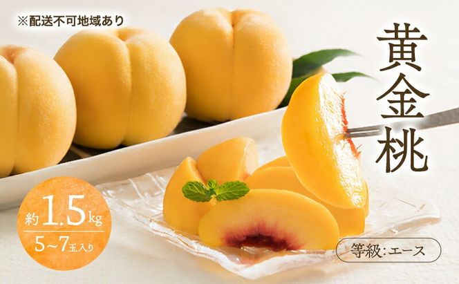 桃 2026年 先行予約 黄金桃 等級 エース 約1.5kg 5～7玉入り もも モモ 岡山 国産 フルーツ 果物 桃茂実苑
