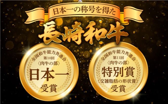 ヒレ ブロック肉 長崎和牛 1kg / A4 A5 ぶろっく肉 ヒレ 赤身 フィレ 国産 和牛 牛肉 / 南島原市 / 肉のくまもと屋株式会社[SHD052]