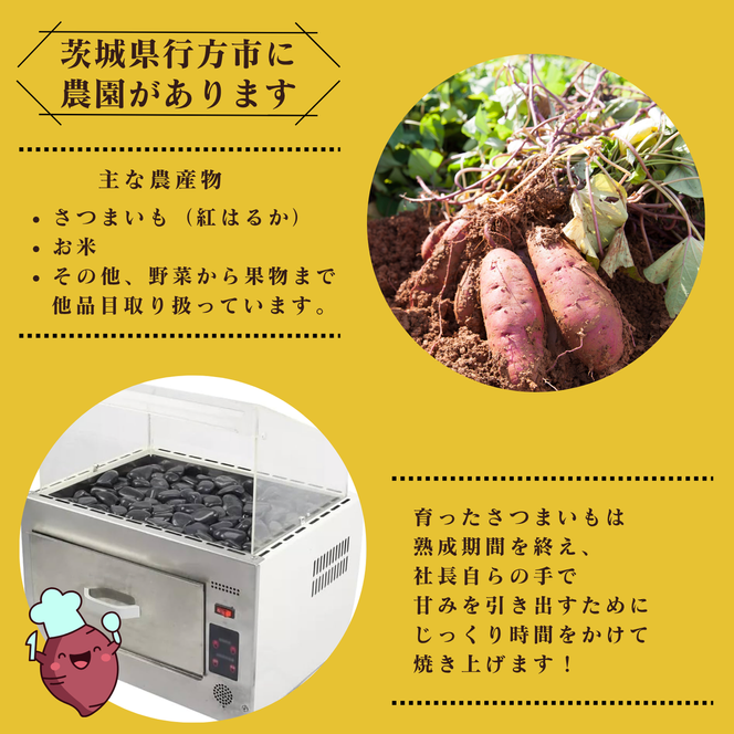 冷凍カット焼き芋（紅はるか）約1kg(100g×10袋)｜冷凍焼き芋 個包装 熟成紅はるか 約1kg 100g×10袋 カット焼き芋 茨城県産 行方市 紅錦 サツマイモ 冷凍焼き芋 国産 おやつ スイーツ 和スイーツ 冷やし焼き芋 無添加 小さいサイズ（IE-6）