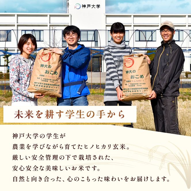 米 令和8年産 神大のおこめ（特別栽培米ヒノヒカリ）玄米30kg お米