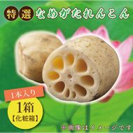 【先行予約】★2026年9月より発送★ JA 特選なめがたれんこん1箱（化粧箱）(AE-10)