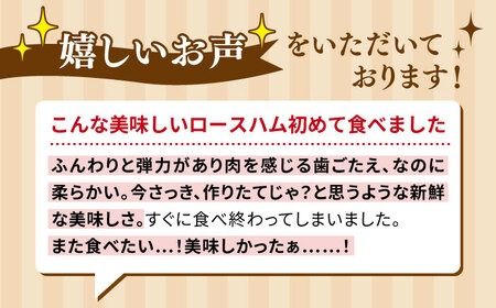 【本場ドイツで連続金賞受賞】マイスター ギフト セット 10種 詰め合わせ ( ハム / ソーセージ / ウインナー) 糸島市 / 糸島手造りハム [AAC001] 詰め合わせ ランキング 上位 人気 おすすめ