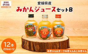 【先行予約】みかんジュースセットＢ 200ml×12本 ※北海道、沖縄・離島への配送不可（2025年12月より順次発送予定） IKTI019