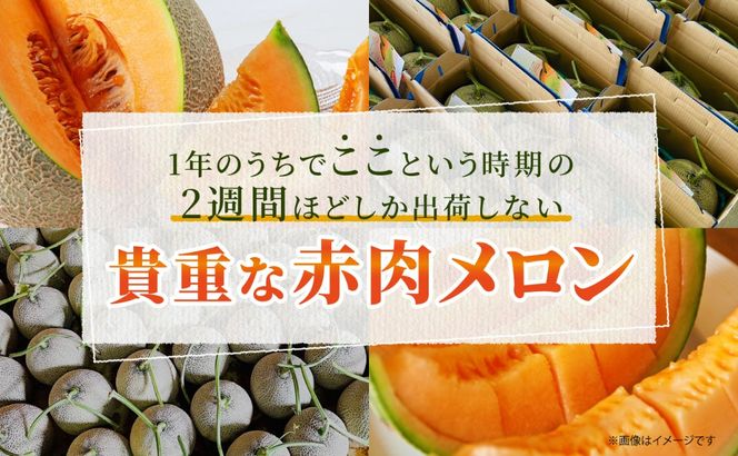 メロン　ご購入はお控え下さい 山下メロン】特Aランク L玉 2個入れ | 山下メロン園