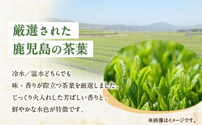 【5営業日以内に発送】【期間限定】容量選べる！水出し煎茶 緑茶ティーバッグ　K111-039