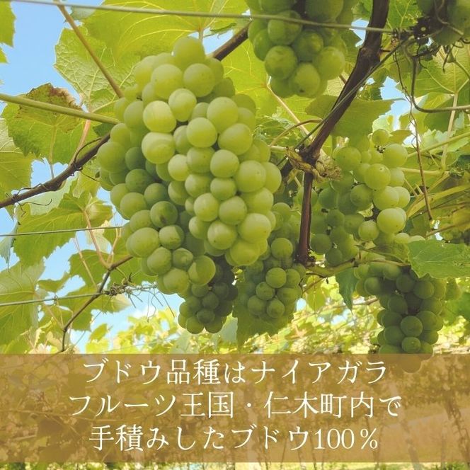 【北海道産ワイン】 限定スパークリングワイン KP”Beginning" 750ml×2本 仁木町産ナイアガラ100%使用 ワイン 白 辛口 スパークリング お酒 シャンパン 