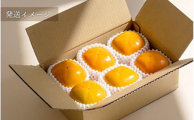 柿 種無し 赤秀品 超大玉 1.8kg 5～6個 ［先行予約］［2026年9月末頃から発送］［KG4］ 303446_XM90004