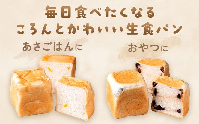侍が恋する ましかくミニ生食パン 計12個 侍が恋するパン屋《30日以内に出荷予定(土日祝除く)》岡山 矢掛町 パン 食パン スイーツ 最上干柿 レーズン ベーコン プレーン ツナマヨ チョコ コーン あんこ 柚餅子 宇治抹茶 いちご メープル 矢掛の侍イタリアン---osy_fssypan_30d_26_12500_12---