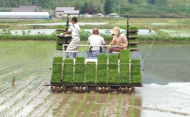 北海道 仁木町産 特別栽培米 おぼろづき 5kg 紅果園の産直米 お米 白米 ご飯 ブランド米 銘柄米 精米 おにぎり お弁当 和食 産地直送 国産 食卓 [峠のふもと紅果園]
