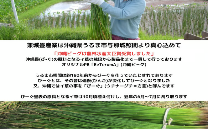 【ふるさと納税】たたみコースター　5枚セット　いぐさ　ビーク　うるま市　沖縄　琉球畳　畳　かわいい　コースター　和風　