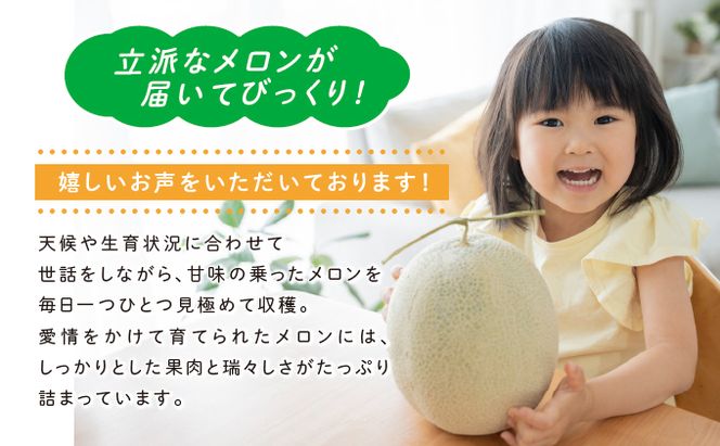 【2026年6月発送】ふらの 赤肉 メロン 3玉入 計6kg前後(相馬農園) メロン フルーツ 果物