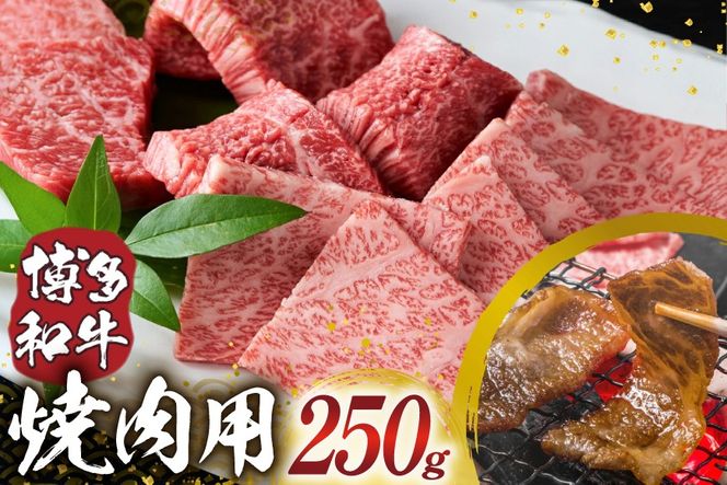 博多和牛 焼肉用 250g [MEAT PLUS 福岡県 宇美町 um40azp010055] ふるさと納税 牛肉 焼肉 焼き肉 肉 肩ロース肉 肩バラ肉 モモ肉 和牛 冷凍